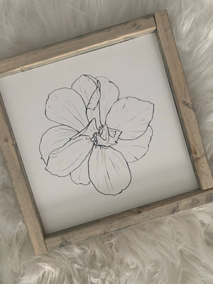 Daffodil Sketch