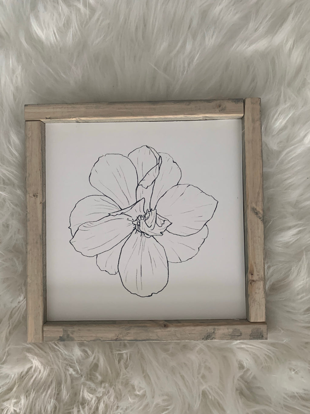 Daffodil Sketch